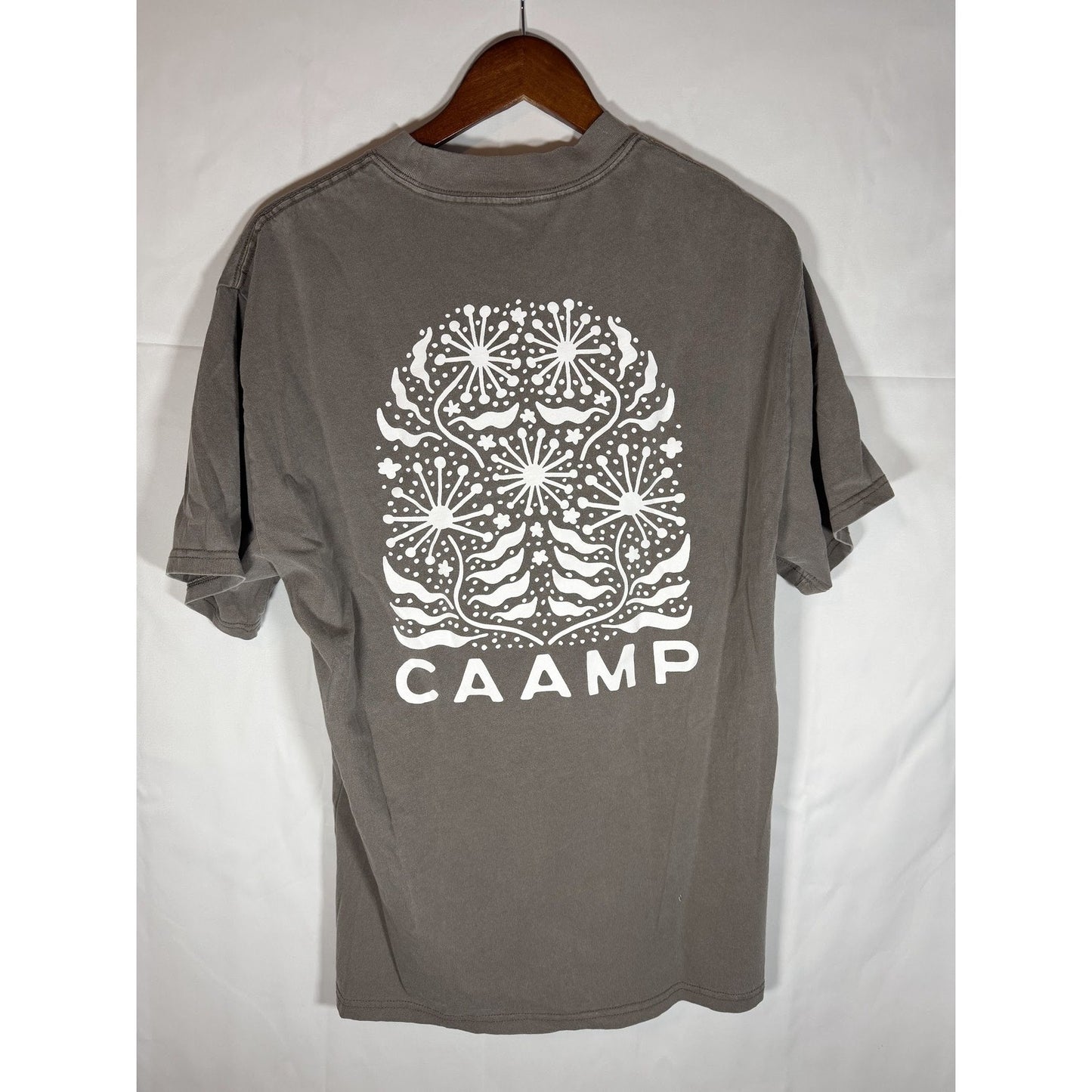 Caamp Band Tee AS Colour Heavy Faded T Shirt Medium Grey Dandelion Graphic EUC