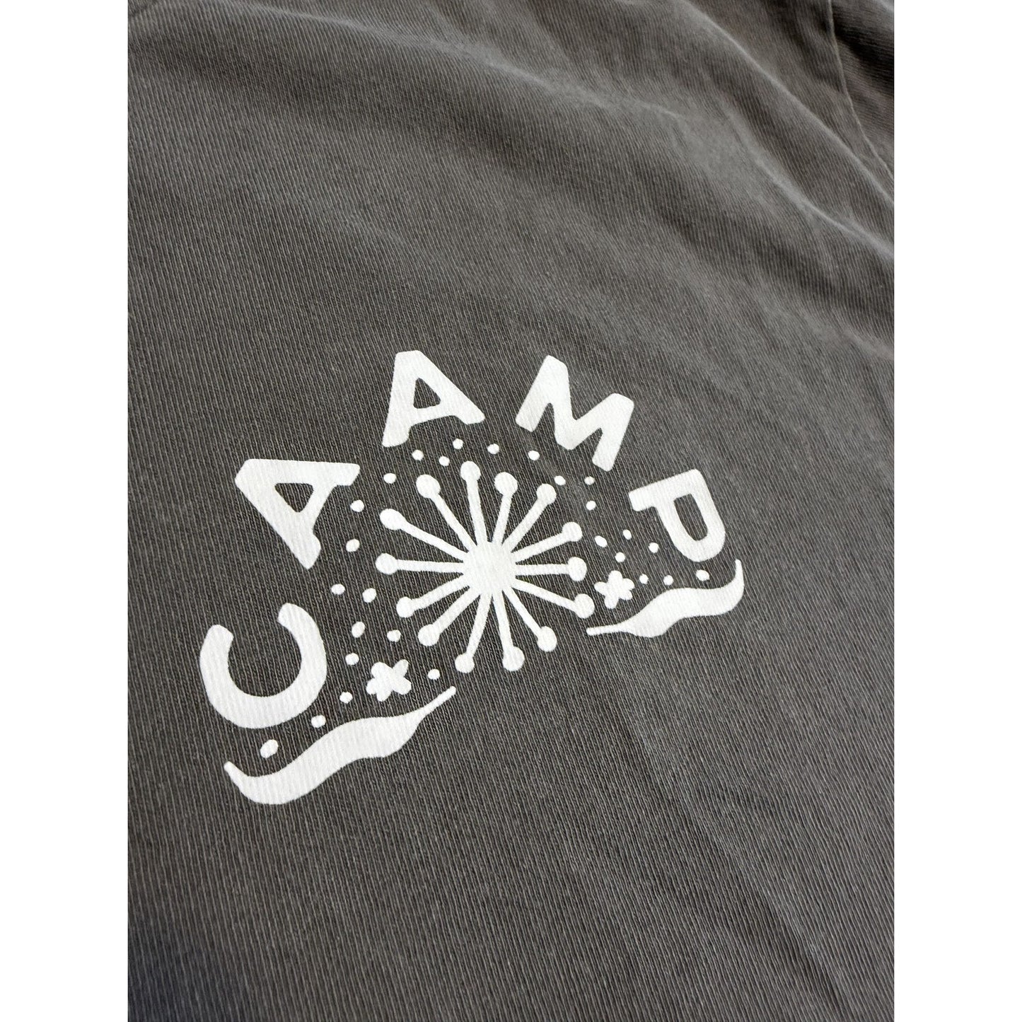 Caamp Band Tee AS Colour Heavy Faded T Shirt Medium Grey Dandelion Graphic EUC