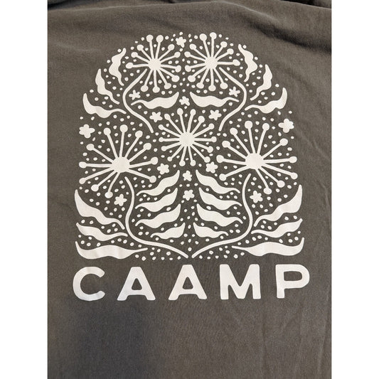 Caamp Band Tee AS Colour Heavy Faded T Shirt Medium Grey Dandelion Graphic EUC
